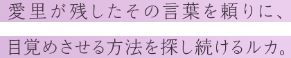 愛里が残したその言葉を頼りに、目覚めさせる方法を探し続けるルカ。