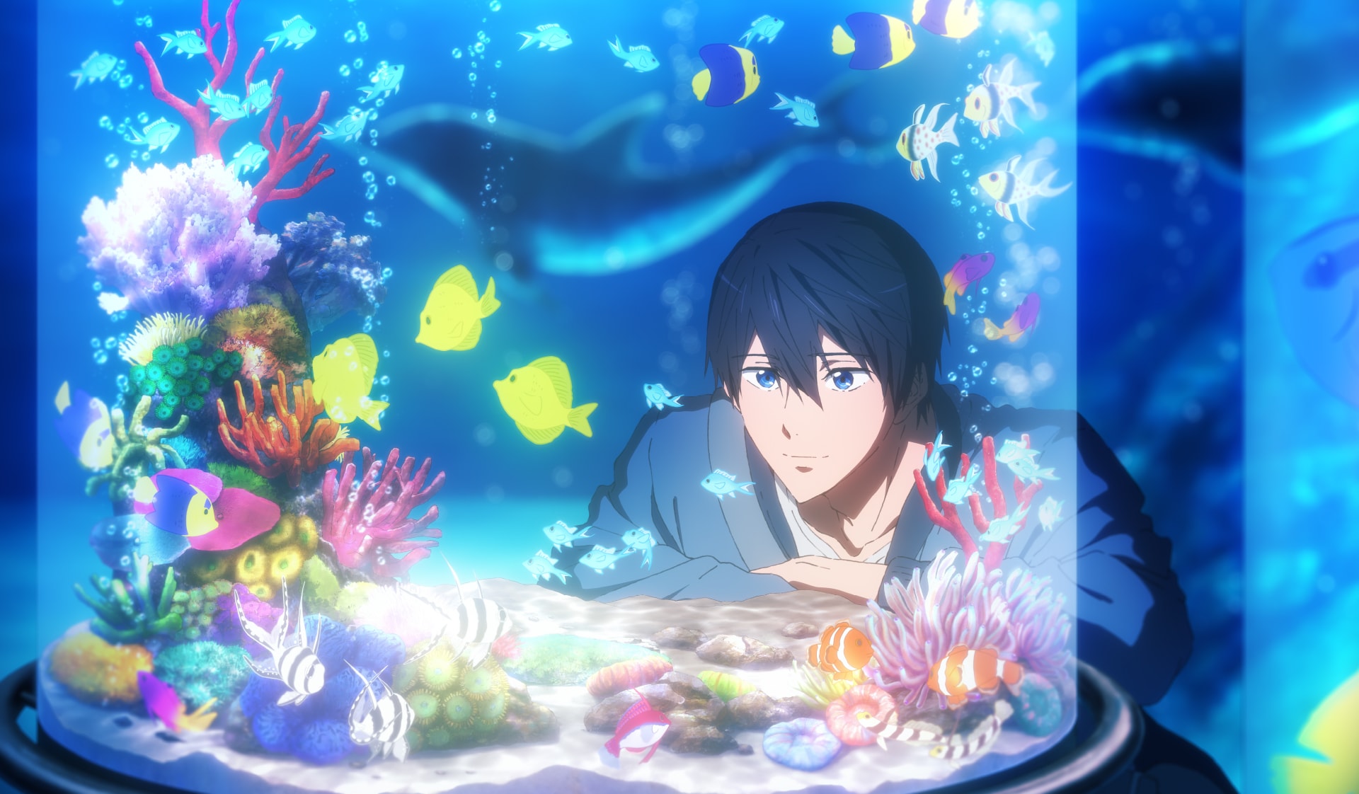 Free! on my day off 七瀬遙